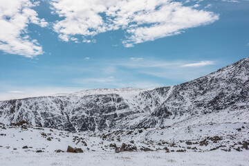 Cold snowy alpine landscape with last year's grass, sharp rocks and stones in white snow against snow-covered rocky mountain range under clouds in blue sky. High snow-white mountains in sunny day.