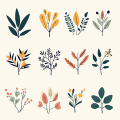Collection of Plants and Leaves | Minimalist Vector Illustrations