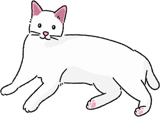 고양이 일러스트 그림