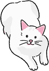 고양이 일러스트 그림
