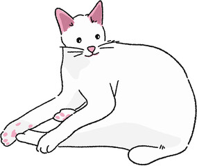 고양이 일러스트 그림