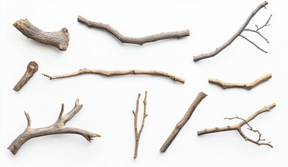 Obraz premium Assorted Natural Wooden Twigs and Branches on White Background