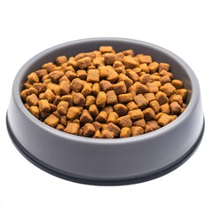 Close-up image of a gray bowl filled with dry dog food on a plain transparent background isolated on white background  