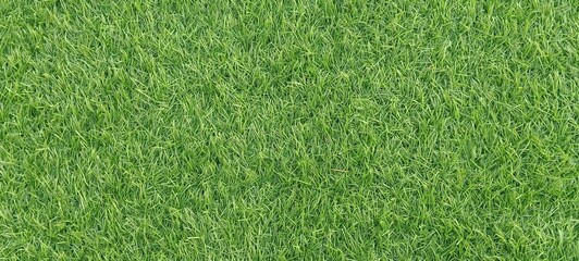 Green grass texture background:
Artificial turf makes the lawn look clean, beautiful and soothing to the eyes when the sun is hot during the day.