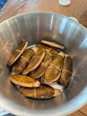 Closeup of Freshy Harvested Washington State razor clams in a stainless steel bucket