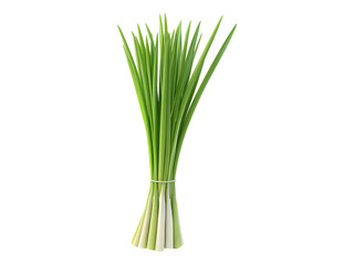 Fresh organic lemongrass