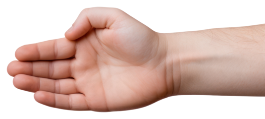 PNG Finger hand gesturing holding.