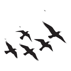 Flying birds silhouettes on white background. Vector illustration. isolated bird flying. tattoo and wallpaper background design. white Background