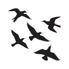 Flying birds silhouettes on white background. Vector illustration. isolated bird flying. tattoo and wallpaper background design. white Background