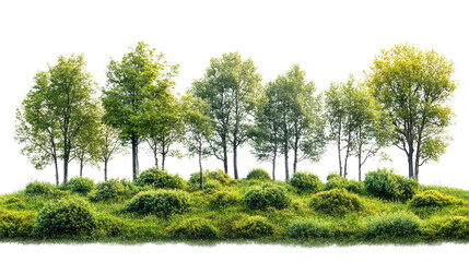 Obraz premium Lush Greenery: A vibrant panorama of trees and shrubs thrives in a miniature landscape, symbolizing growth, sustainability, and the beauty of the natural world.