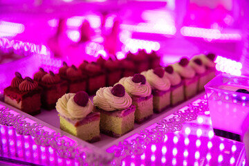 Elegant Wedding Candy Bar with Colorful Sweets, Cakes, and Fruits