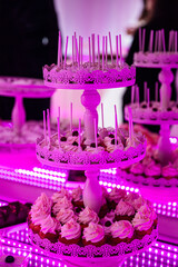 Elegant Wedding Candy Bar with Colorful Sweets, Cakes, and Fruits