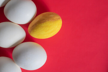 Bright yellow egg among white eggs on a red background. Easter greeting card.