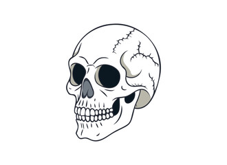 Vector Skull Illustration - Detailed Cartoon Art for Halloween and Gothic Designs