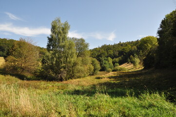 Landschaft bei Effelder