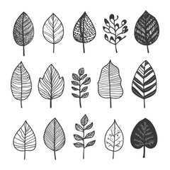 Hand Drawn Black And White Illustrations Of Various Leaf And Twig Shapes