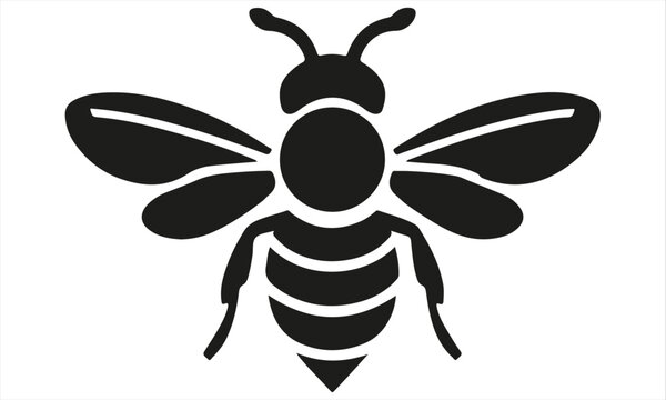 bee on a white background