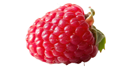 Fresh ripe raspberry isolated on transparent background with green leaves