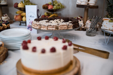 Elegant Wedding Candy Bar with Colorful Sweets, Cakes, and Fruits
