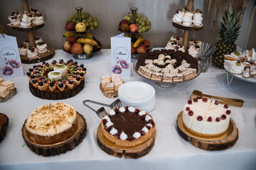 Elegant Wedding Candy Bar with Colorful Sweets, Cakes, and Fruits