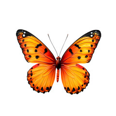 hyper-realistic butterfly