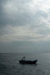 Naklejka premium In Sri Lanka, there are tours that allow you to see wild whales in the Indian Ocean.