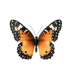 lifelike swallowtail butterfly