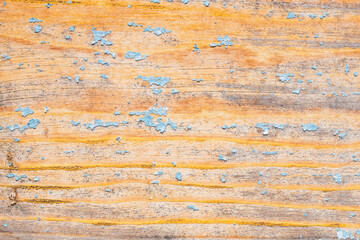 Old wood texture in background. Damaged and cracked blue paint on a light-orange wood shutter. 
