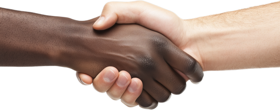 Diverse Hands Shaking Hands in Unity and Cooperation Against a White Background