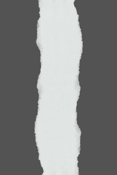gray and white ripped paper background