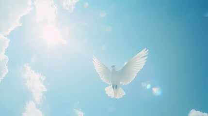 Fototapeta premium White dove flying in clear blue sky, symbolizing peace, freedom, and hope, with serene and tranquil atmosphere, representing harmony and unity.
