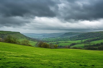 Fototapeta premium A photo of a vibrant green field stretching towards the horizon beneath a cloudy sky Panoramic view of rolling green hills under a cloudy sky .