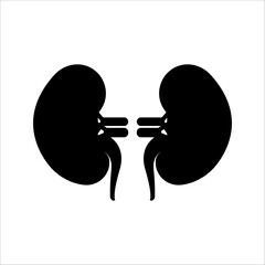 Human kidney silhouette vector image illustration