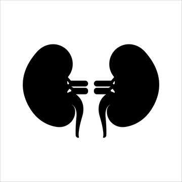 black kidneys on white background clip art preview