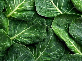 Fototapeta premium A close up of a bunch of green leafy vegetables