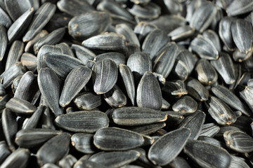 Macro Black Unpeeled Sunflower Seeds