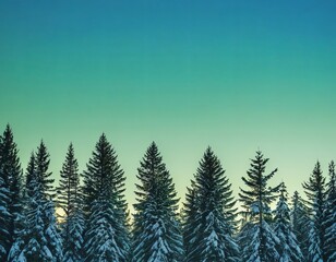 Obraz premium Majestic snow-covered pine trees silhouetted against a serene gradient sky.
