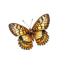 Naklejka premium Realistic poplar admiral butterfly