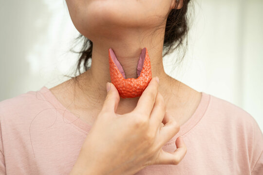 Hyperthyroidism, Overactive Thyroid, Thyroid Lymphoma, Asian woman with thyroid gland human anatomy model.