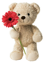 Obraz premium PNG Teddy bear flower teddy toy.