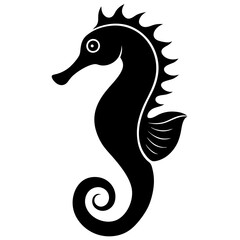 black and white horse