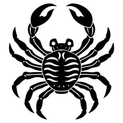 crab spider vector