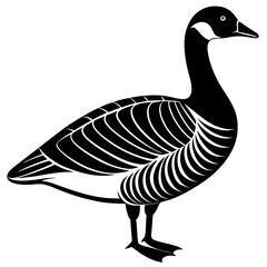 goose isolated on white background