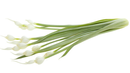 Fototapeta premium fresh leeks and long green stalks isolated on transparent background