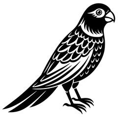 Fototapeta premium bird of prey