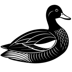duck vector illustration
