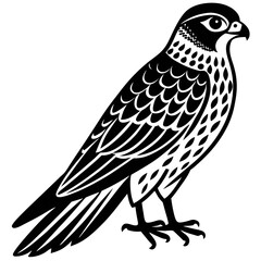 eagle vector illustration