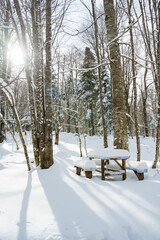 table and benches covered with snow in the winter park. Winter snow forest. rays of the sun through the branches of trees.
