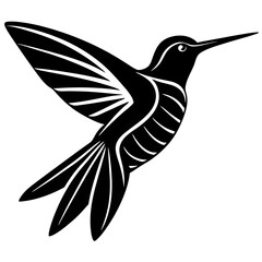 hummingbird in flight