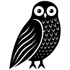 owl on white background